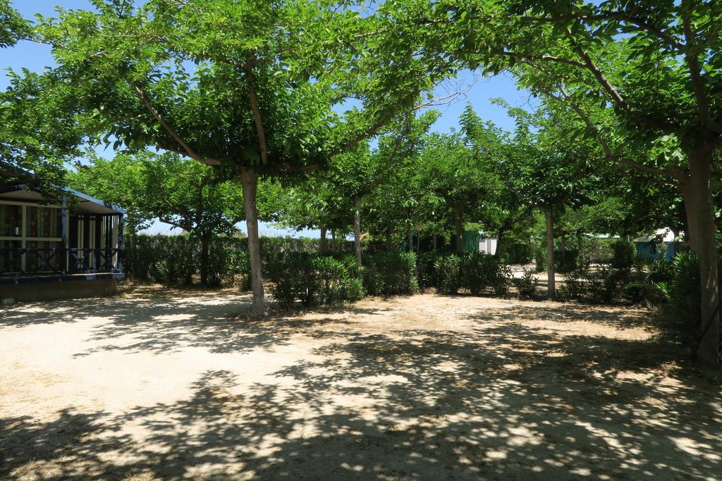 Camping Azul Oliva Esterno foto
